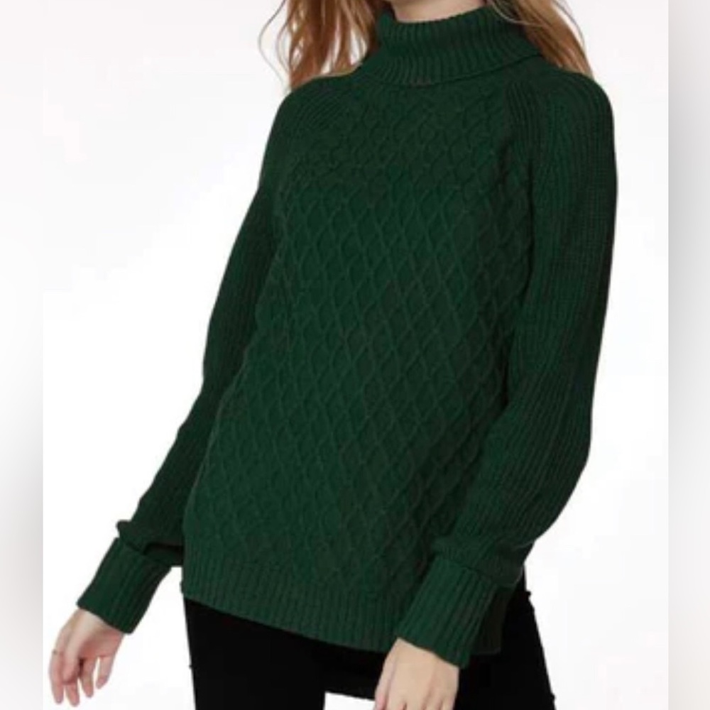 Revolve-Bobi Raglan Turtleneck